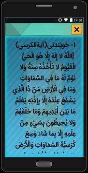 زیکرەکان MP3 screenshot 7