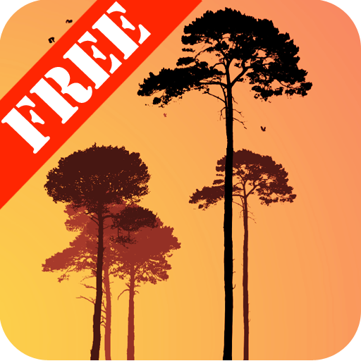 Misty Forest Free icon