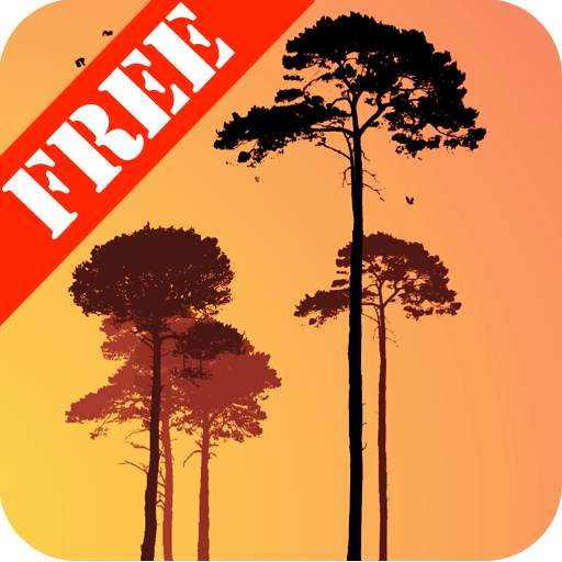 Misty Forest Free 1.39