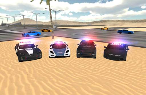 Police Car Driving Sim screenshot 5