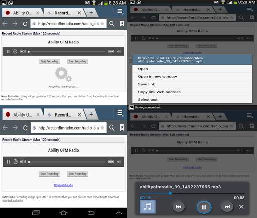 All Browsers Recording Radio Stations screenshot 13