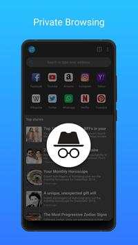 Speed Browser screenshot 2