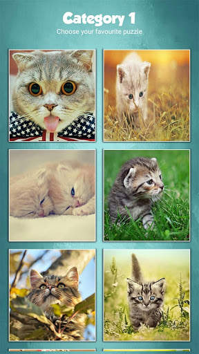 Cute Baby Cats Jigsaw Puzzle Game screenshot 3