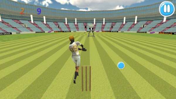 Cricket Bat Ball Hit 3D screenshot 5