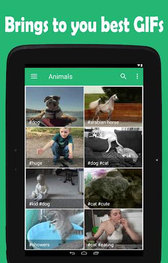 GIFs - Search Animated GIF screenshot 7
