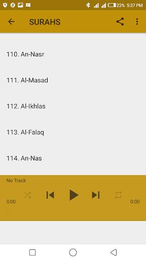 Saad Al-Ghamidi Mp3 Quran screenshot 6