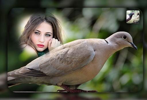 Dove Photo Editor - Dove Photo Frames screenshot 3