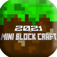 Mini Block Craft 2021