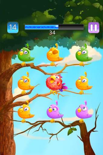 9 Birds स्क्रीनशॉट 7