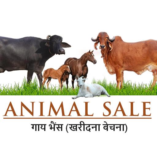 Animal Selling :  गाय भैंस (खरीदना बेचना) icon