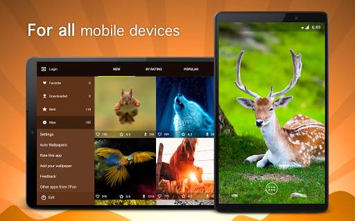 Animal Wallpapers PRO screenshot 5