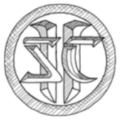 Star BGM (Pro) icon