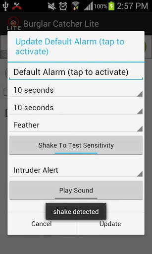 Burglar, Thief Catcher Lite screenshot 2
