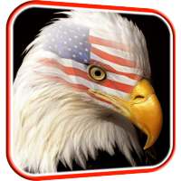 USA Eagle Live Wallpaper logo