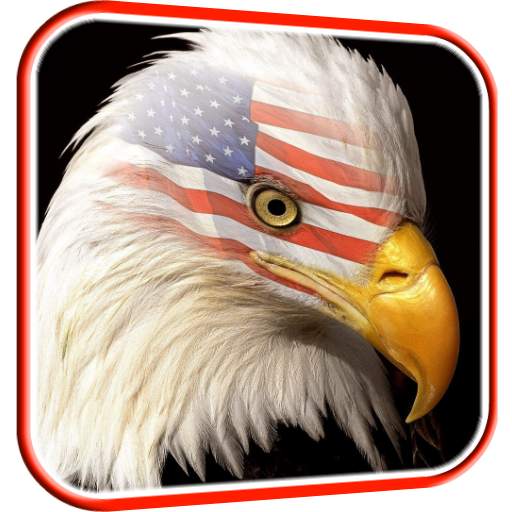 USA Eagle Live Wallpaper 5.0