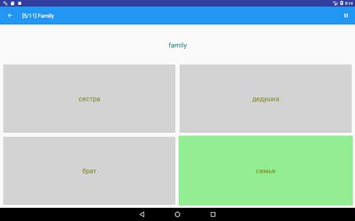 Russian Language Trainer screenshot 17