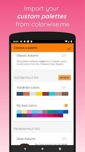 My Autumn Palette screenshot 3