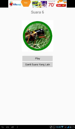 Kumpulan Suara Jangkrik Free screenshot 8