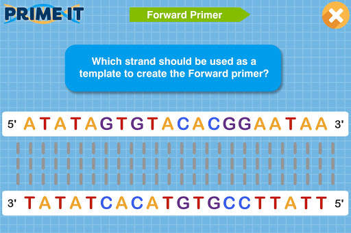 Prime It DNA Game screenshot 10