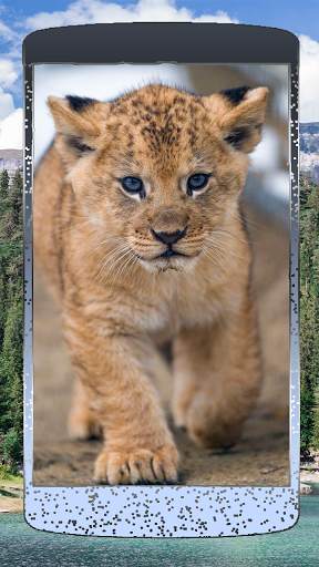 Nice Lion Wallpaper screenshot 4