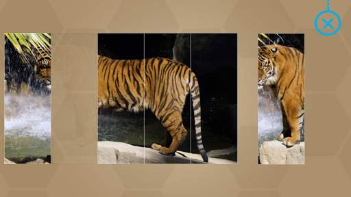 Animals for Kids - Flashcards, Puzzles & Sounds screenshot 10