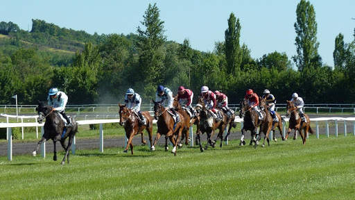 Horse Racing Wallpaper screenshot 1
