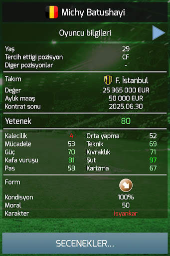 True Football 3 screenshot 12