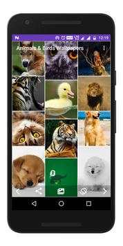 Animals & Birds - Wallpapers screenshot 3