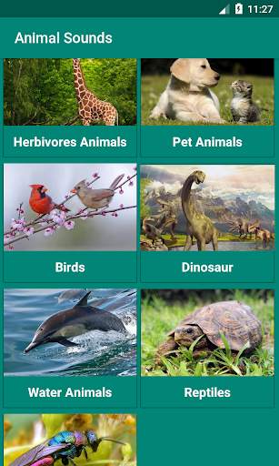 Natural Animal Sounds and HD Wallpaper screenshot 8