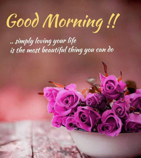Good morning Images Gifs, Flowers Roses wallpapers screenshot 6