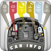 Car Info 1.0