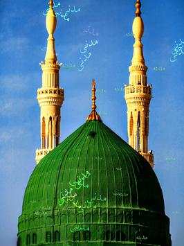 Madina Live Wallpapers screenshot 4