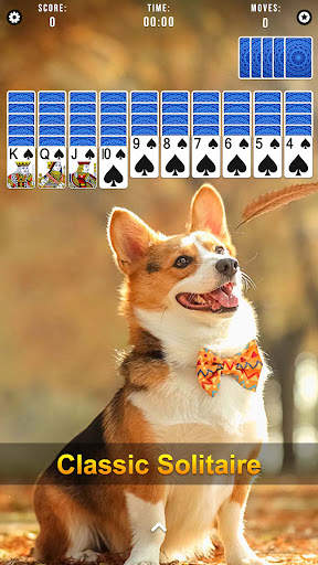 Spider Solitaire screenshot 7