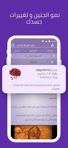 Pregnancy Tracker (Arabic) screenshot 5