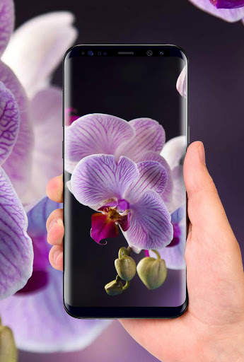 Orchids 3D Free Live Wallpaper screenshot 4