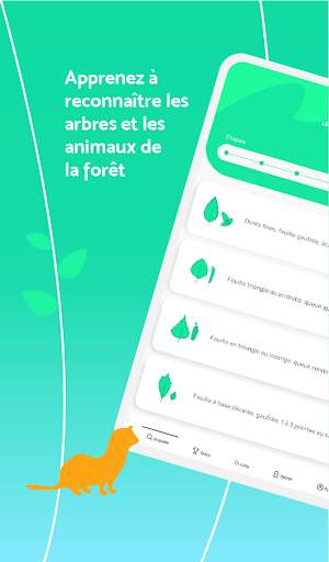 Clés de forêt скриншот 13