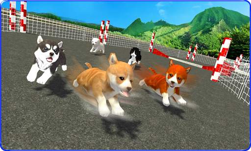 Cute Puppy Dog Racing Sim 2017 screenshot 3