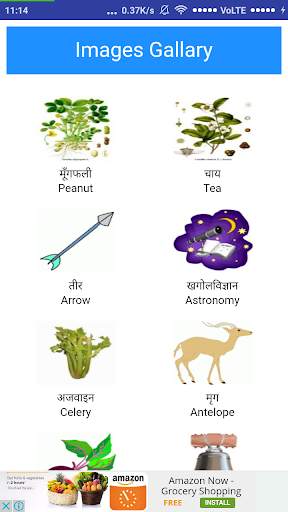 English Speaking Course app screenshot 4