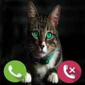 Fake Call Cat Prank