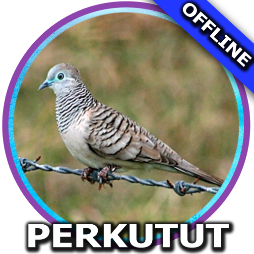 Suara Burung Perkutut Mp3 icon