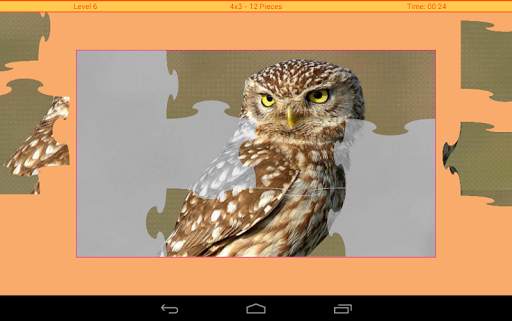 Birds Puzzle स्क्रीनशॉट 10