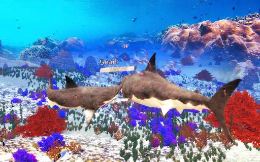 The Shark screenshot 24
