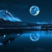 Moonlights wallpaper 1.0