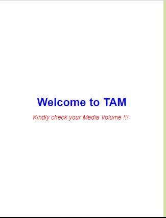 T.A.M(The Automated Messaging App) screenshot 1