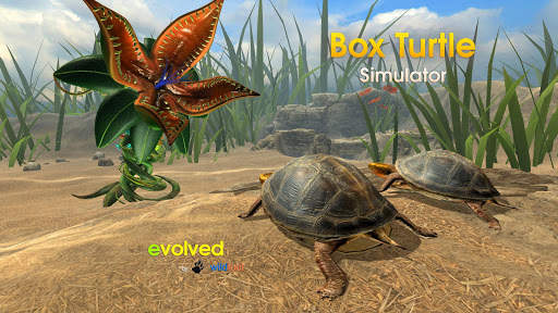 Box Turtle Simulator screenshot 2