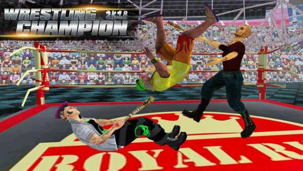 WWE World Tag Team Wrestling Fight Revolution 2018 screenshot 1