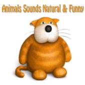 Funny Animal Sounds 1.8