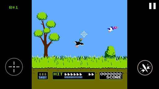 Duck Shooting screenshot 8