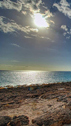 Summer Wallpapers : backgrounds hd screenshot 6