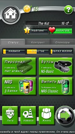 New Star Soccer скриншот 4